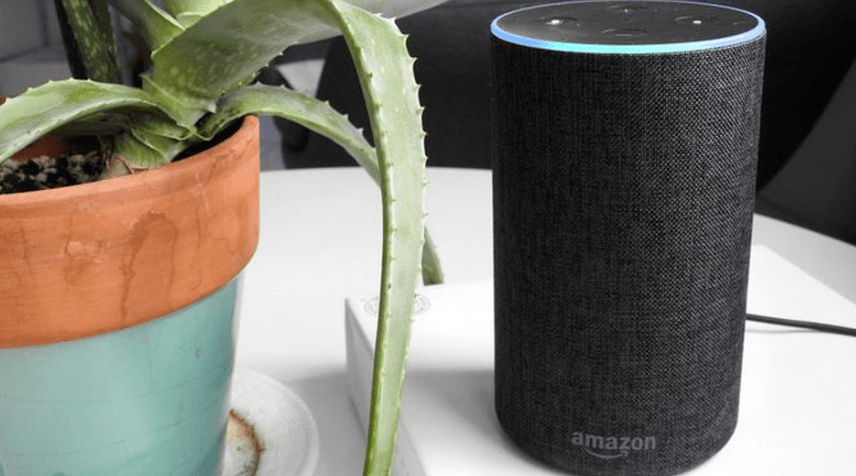Llamar Amazon